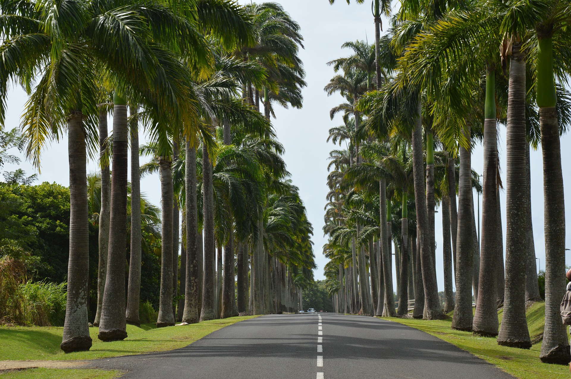 louer une voiture en Guadeloupe