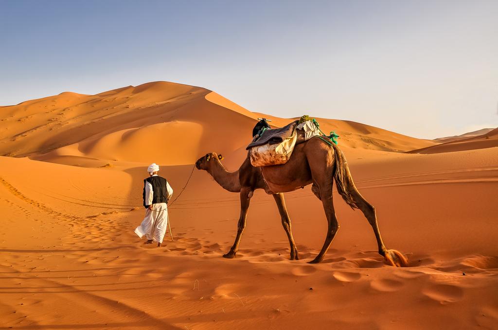 désert du sahara