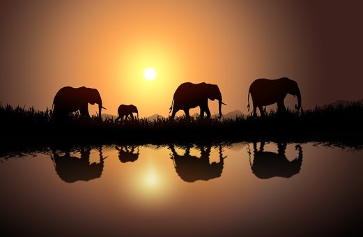 vacances en Afrique